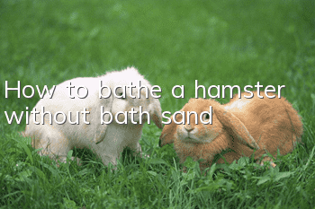 How to bathe a hamster without bath sand?