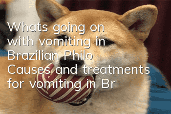 What's going on with vomiting in Brazilian Philo? Causes and treatments for vomiting in Brazilian Philo