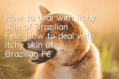 How to deal with itchy skin of Brazilian Fele. How to deal with itchy skin of Brazilian Fele.
