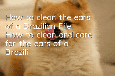 How to clean the ears of a Brazilian File. How to clean and care for the ears of a Brazilian File.
