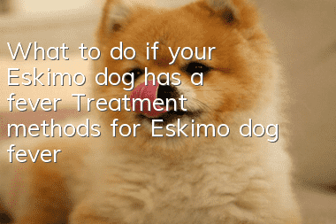 What to do if your Eskimo dog has a fever? Treatment methods for Eskimo dog fever