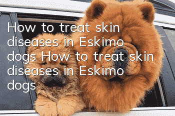 How to treat skin diseases in Eskimo dogs How to treat skin diseases in Eskimo dogs