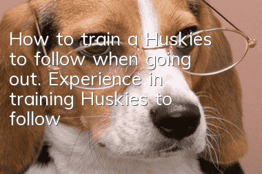 How to train a Huskies to follow when going out. Experience in training Huskies to follow when going out.