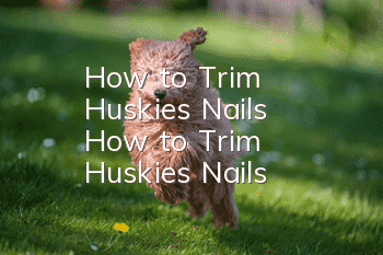 How to Trim Huskies' Nails How to Trim Huskies' Nails
