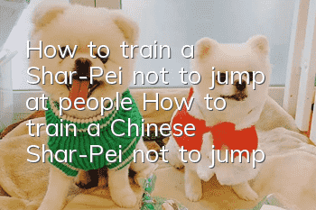 How to train a Shar-Pei not to jump at people? How to train a Chinese Shar-Pei not to jump at people?
