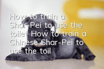 How to train a Shar-Pei to use the toilet? How to train a Chinese Shar-Pei to use the toilet at a fixed location?