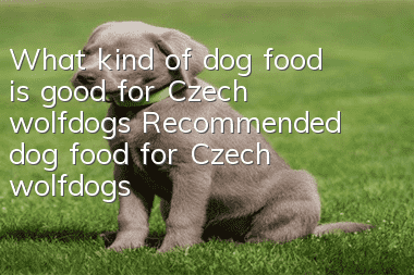 What kind of dog food is good for Czech wolfdogs? Recommended dog food for Czech wolfdogs