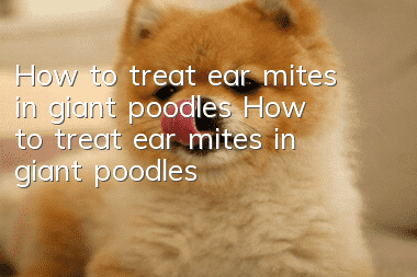 How to treat ear mites in giant poodles How to treat ear mites in giant poodles