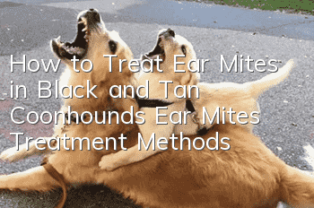 How to Treat Ear Mites in Black and Tan Coonhounds Ear Mites Treatment Methods