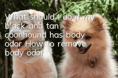 What should I do if my black and tan coonhound has body odor? How to remove body odor