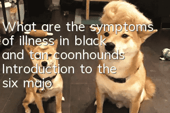 What are the symptoms of illness in black and tan coonhounds? Introduction to the six major symptoms of illness