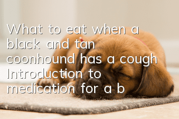 What to eat when a black and tan coonhound has a cough? Introduction to medication for a black and tan coonhound when it coughs