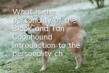 What is the personality of the Black and Tan Coonhound? Introduction to the personality characteristics of the Black and Tan Coonhound.