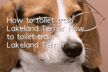 How to toilet train Lakeland Terrier? How to toilet train Lakeland Terrier?