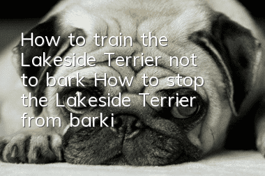How to train the Lakeside Terrier not to bark? How to stop the Lakeside Terrier from barking?