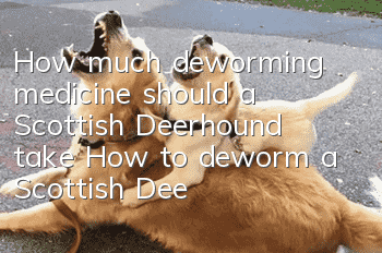 How much deworming medicine should a Scottish Deerhound take? How to deworm a Scottish Deerhound?