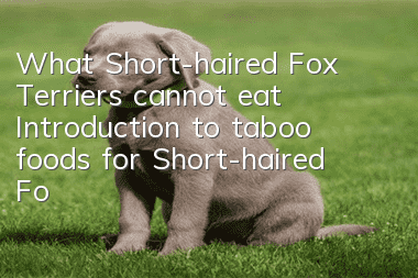 <strong>What Short-haired Fox Terriers cannot eat? Introduction to taboo foods for Short-haired Fox Terriers</strong>