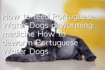How to feed Portuguese Water Dogs deworming medicine? How to deworm Portuguese Water Dogs?