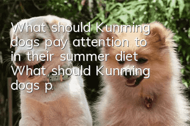 What should Kunming dogs pay attention to in their summer diet? What should Kunming dogs pay attention to in their summer diet?