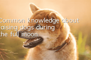 Common knowledge about raising dogs during the full moon