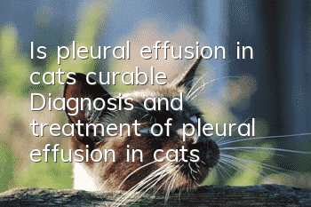 Is pleural effusion in cats curable? Diagnosis and treatment of pleural effusion in cats!