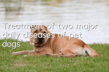 Treatment of two major daily diseases of pet dogs