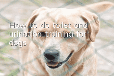 How to do toilet and urination training for dogs?