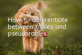 How to differentiate between rabies and pseudorabies
