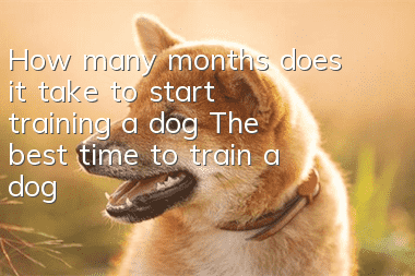 How many months does it take to start training a dog? The best time to train a dog!