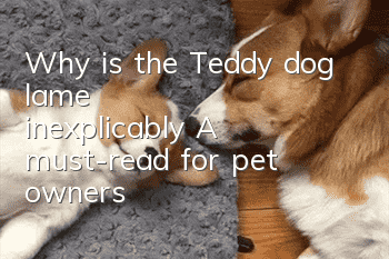 Why is the Teddy dog lame inexplicably? A must-read for pet owners!