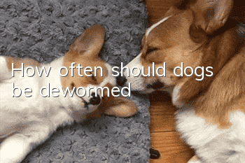 How often should dogs be dewormed?