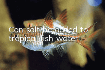 Can salt be added to tropical fish water?