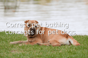 Correct pet bathing concepts for pet dogs