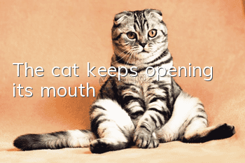 The cat keeps opening its mouth