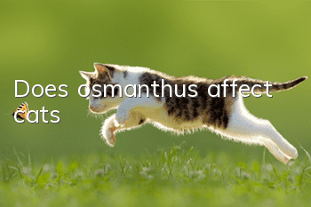Does osmanthus affect cats?