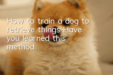 How to train a dog to retrieve things? Have you learned this method?