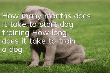 How many months does it take to start dog training? How long does it take to train a dog?