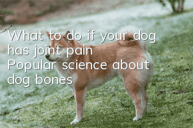 What to do if your dog has joint pain? Popular science about dog bones!