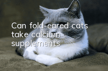 Can fold-eared cats take calcium supplements?