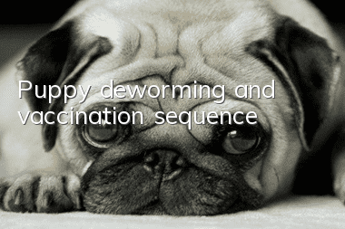 Puppy deworming and vaccination sequence
