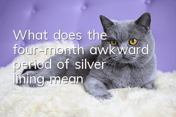 What does the four-month awkward period of silver lining mean?
