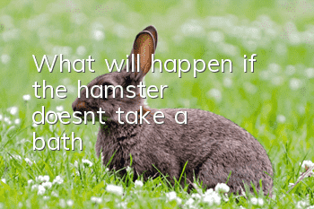 What will happen if the hamster doesn't take a bath?