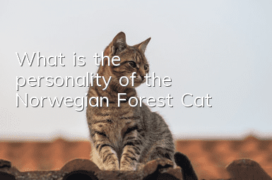What is the personality of the Norwegian Forest Cat?