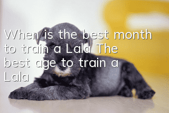 When is the best month to train a Lala? The best age to train a Lala!