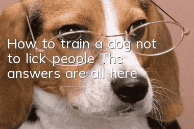 How to train a dog not to lick people? The answers are all here!