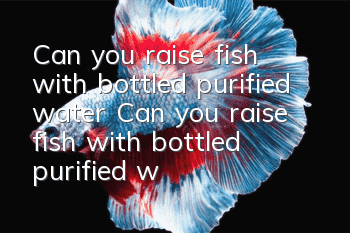 Can you raise fish with bottled purified water? Can you raise fish with bottled purified water?