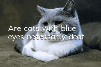 Are cats with blue eyes necessarily deaf?