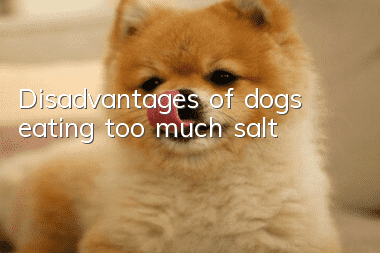 Disadvantages of dogs eating too much salt
