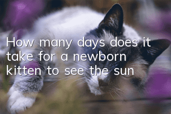 How many days does it take for a newborn kitten to see the sun?