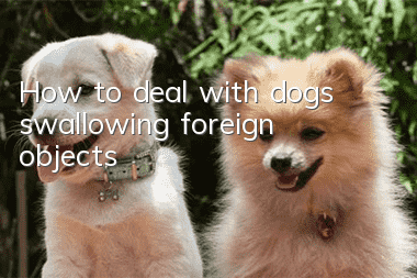 How to deal with dogs swallowing foreign objects